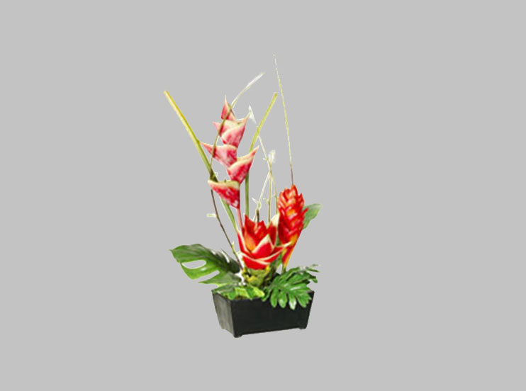 Arreglo Floral Heliconia Ginger – Mueblería Bonanza
