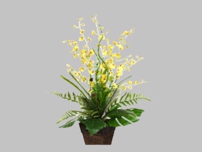 Arreglo Floral Onicidium Orchid