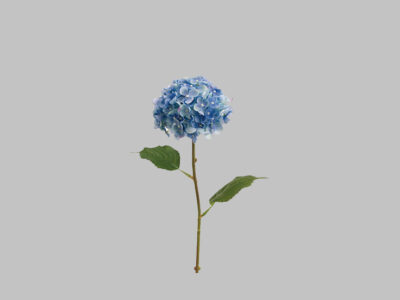 Flor Delphinium Azul
