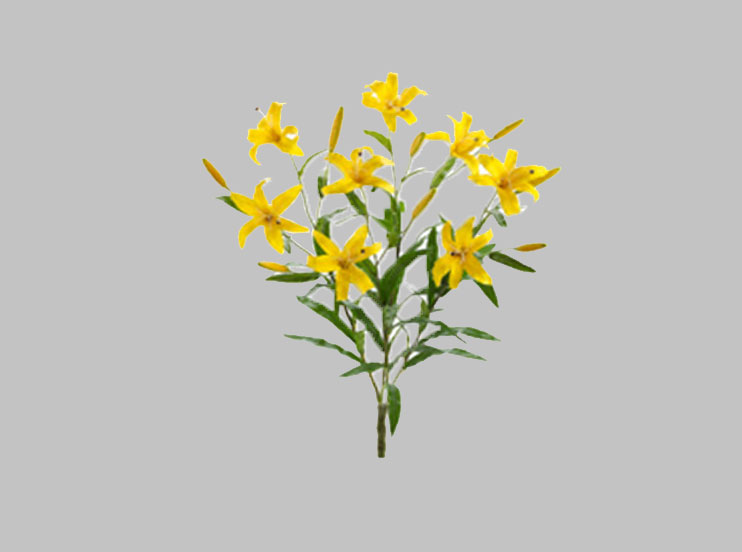 Ramilletes de flores – Vanai